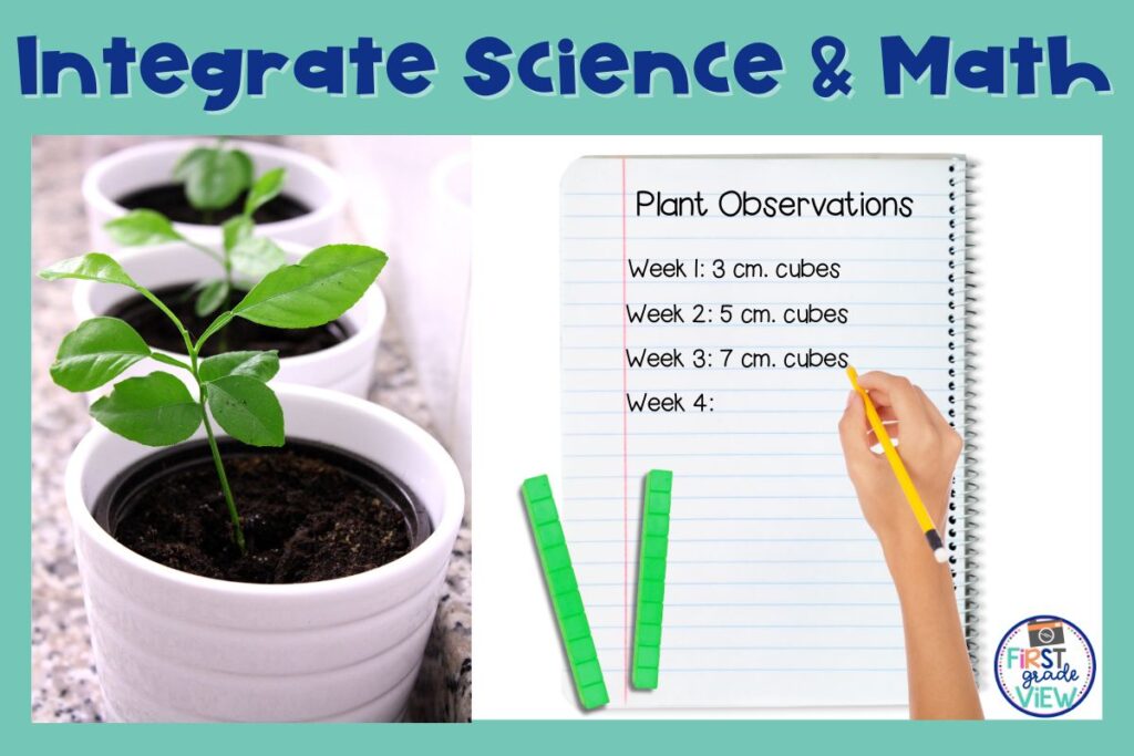 Image of a plant and studnet journal where they record the measurements of their growing plant. 