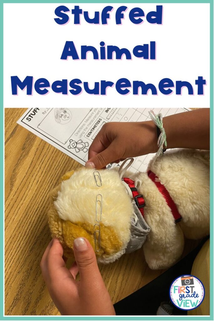 Image of a student measuring a stuffed animal with paper clips for a Stuffed Animal Measurement Day. 