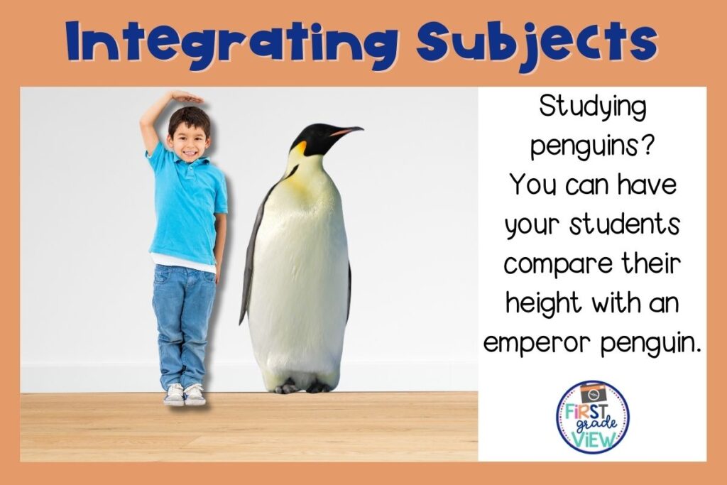 Image of a student comparing his height to an emperor penguin. 